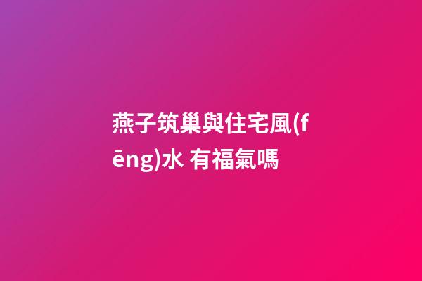 燕子筑巢與住宅風(fēng)水 有福氣嗎